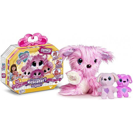 Adoptanimals Familia Adoptanimals Mascota